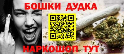 МДПВ Будённовск