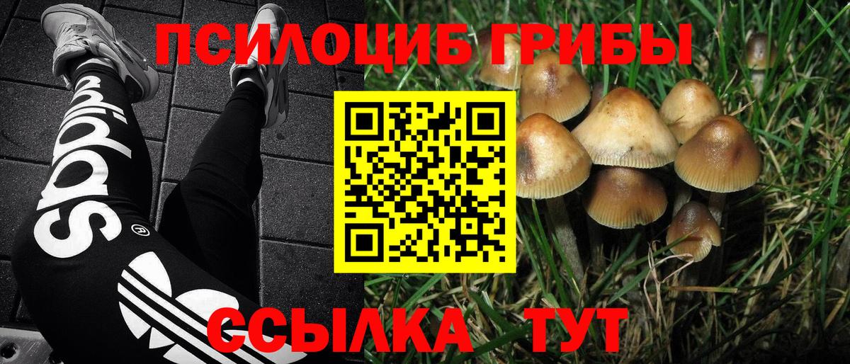 Псилоцибиновые грибы ЛСД  Псилоцибиновые грибы Cubensis  Вход с VPN  Солнечногорск 