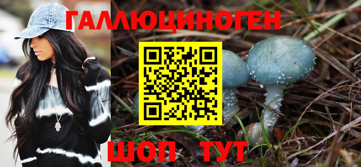 Псилоцибиновые грибы GOLDEN TEACHER Солнечногорск